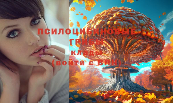 apvp Верея