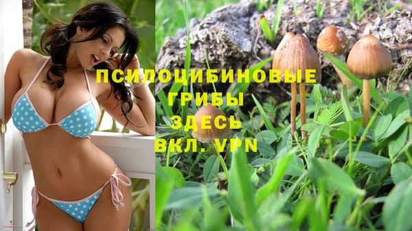 каннабис Верхний Тагил