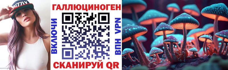 Псилоцибиновые грибы Cubensis  Горнозаводск 